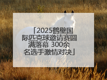 2025鹤壁国际匹克球邀请赛圆满落幕 300余名选手激情对决