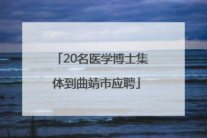 20名医学博士集体到曲靖市应聘