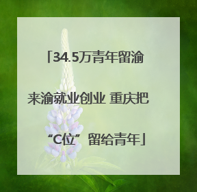 34.5万青年留渝来渝就业创业 重庆把“C位”留给青年