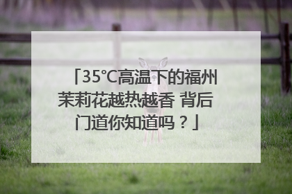 35℃高温下的福州茉莉花越热越香 背后门道你知道吗？