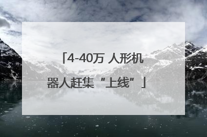 4-40万 人形机器人赶集“上线”