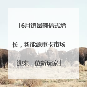 6月销量翻倍式增长，新能源重卡市场迎来一位新玩家