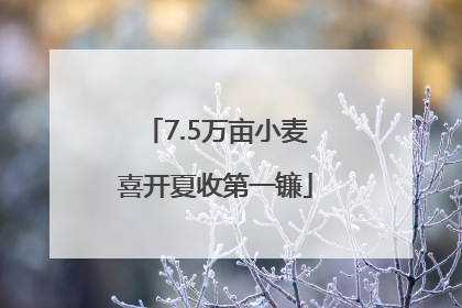 7.5万亩小麦喜开夏收第一镰