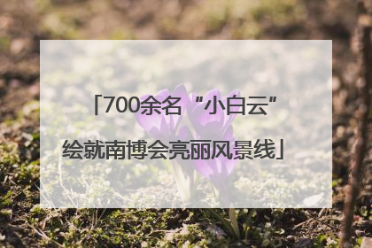 700余名“小白云”绘就南博会亮丽风景线