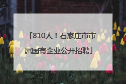 810人！石家庄市市属国有企业公开招聘
