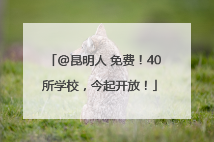 @昆明人 免费！40所学校，今起开放！