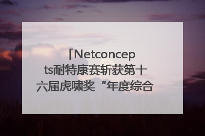 Netconcepts耐特康赛斩获第十六届虎啸奖“年度综合服务商”大奖