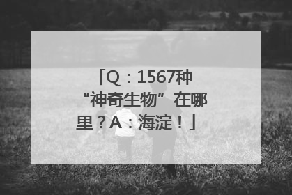 Q：1567种“神奇生物”在哪里？A：海淀！